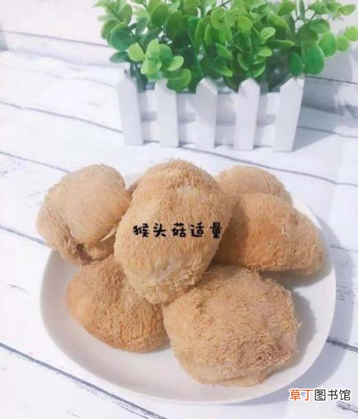 如何做猴头菇粉？