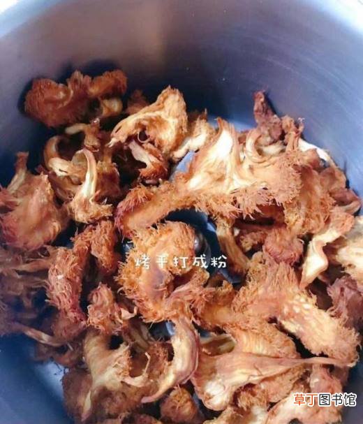 如何做猴头菇粉？