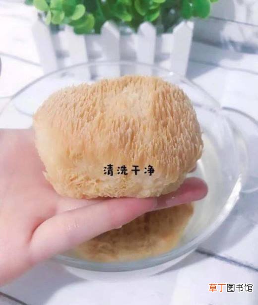 如何做猴头菇粉？