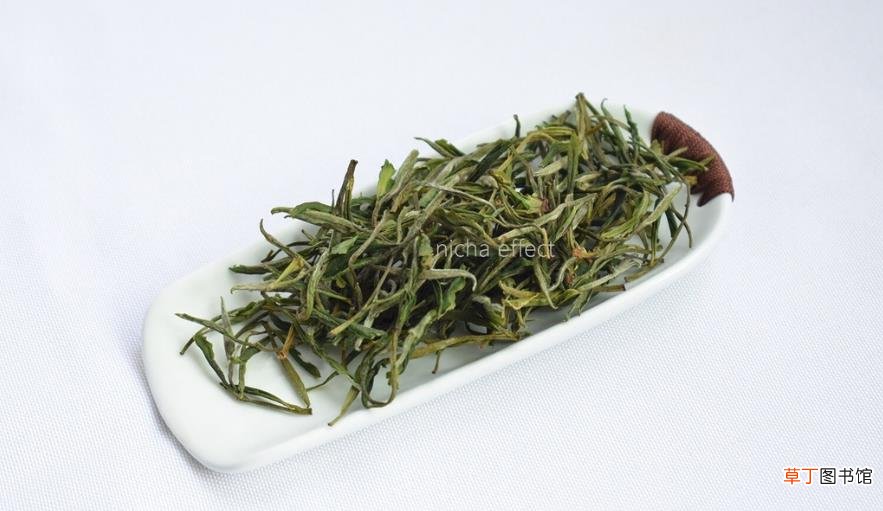 长期喝绿茶能减肥吗