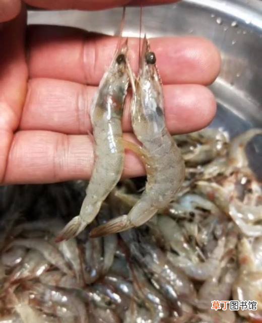 家常干炸河虾的做法