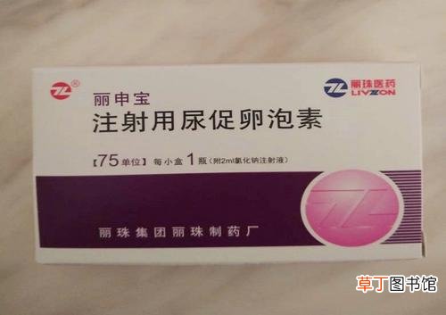 去除尿蛋白的中成药-哪些中成药去除尿蛋白