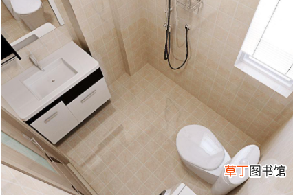 家里的厕所为什么会出现蚂蟥