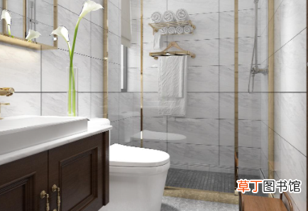家里的厕所为什么会出现蚂蟥