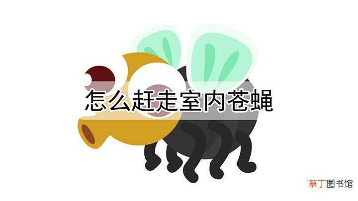 怎么赶走房间里的苍蝇