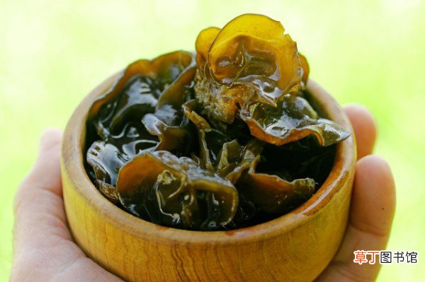 鹌鹑可以和和木耳搭配食用吗？鹌鹑的营养食用方法