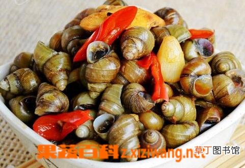 田螺不能和什么一起吃 吃田螺的禁忌