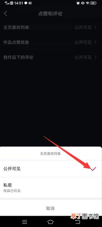 抖音怎样开启喜欢让人看