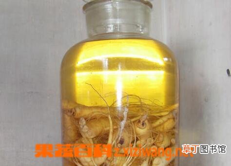 人参蛤蚧酒的做法与功效