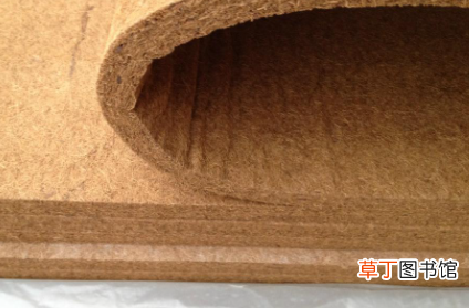 棕垫长虫子怎样消灭