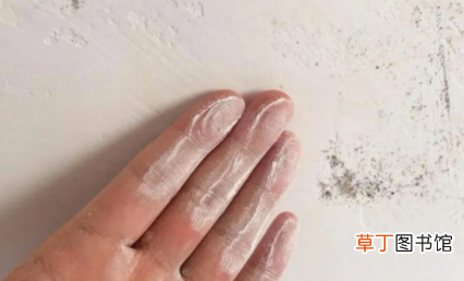 腻子粉刮好后掉粉怎么办