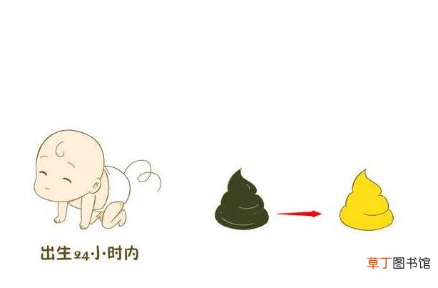 拉绿色的大便是什么原因-拉绿色的大便正常吗