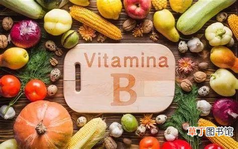 维生素b可以长期吃吗-维生素b可以每天吃吗