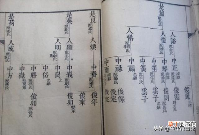 家谱怎么做 家谱怎么做