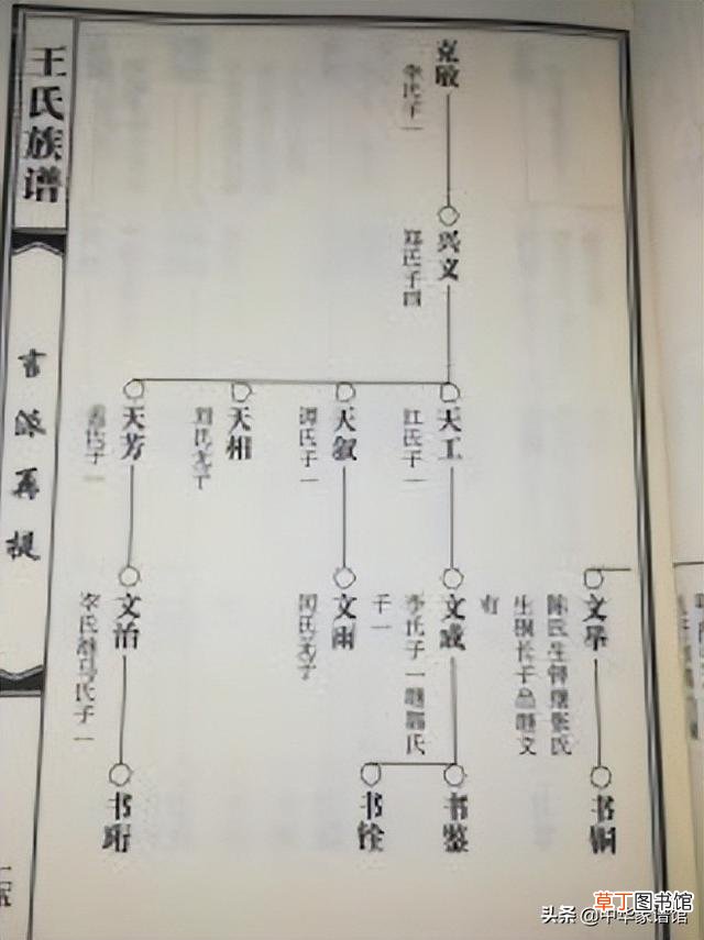 家谱怎么做 家谱怎么做