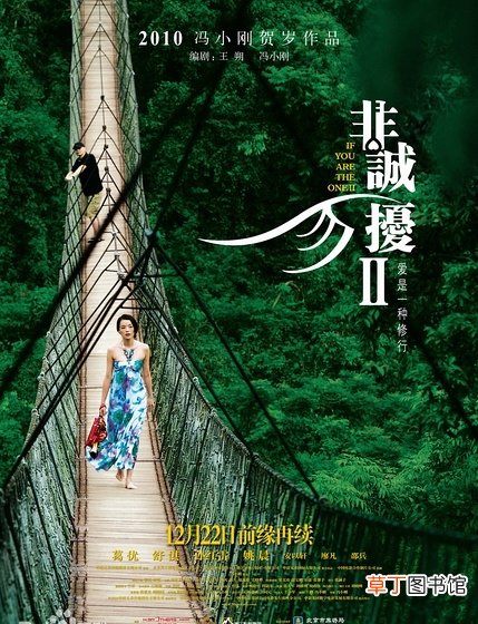 非诚勿扰2电影结局 非诚勿扰2结局什么意思
