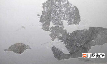 墙上的腻子为什么会掉