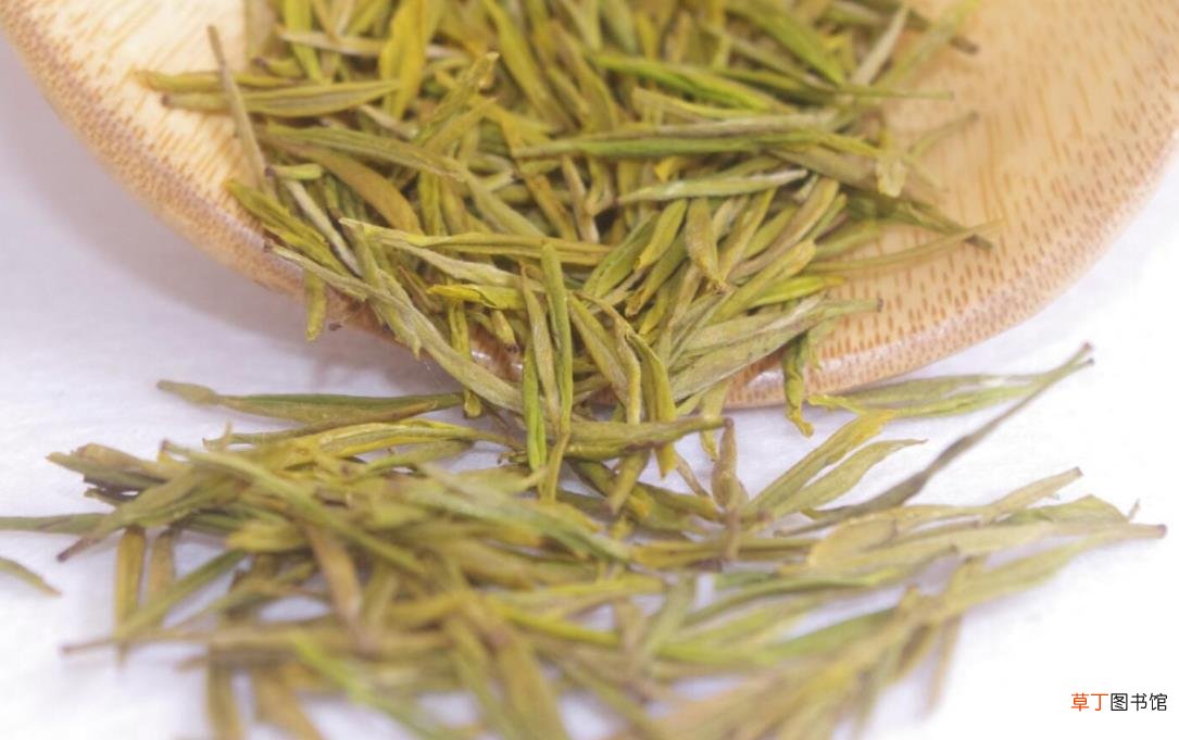 泾渭茯茶的功效与作用