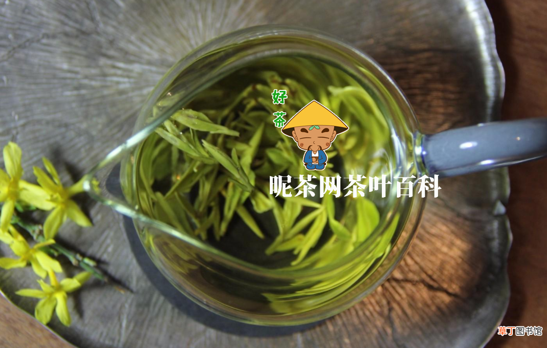 对胃好的茶有哪些