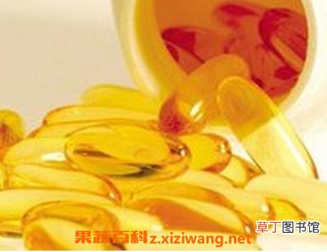 鱼油卵磷脂的功效与作用