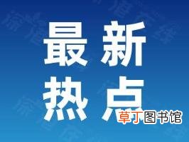 牵狗女子被指诈骗 检方回应 到底是怎么回事？