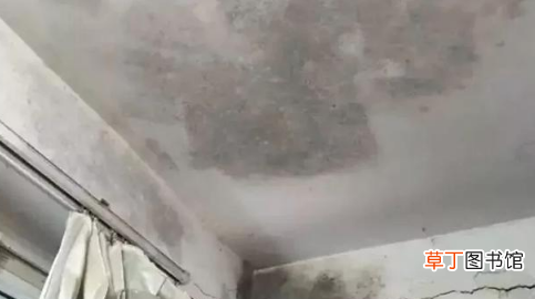天花板发霉是楼上漏水吗