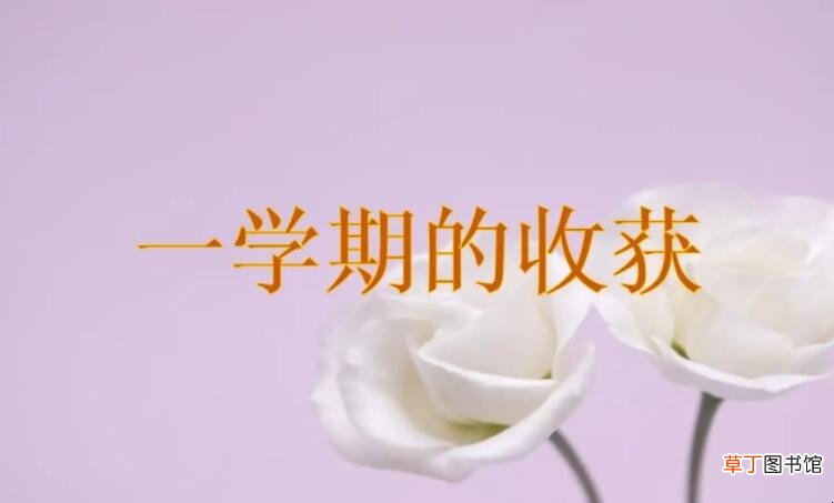 这一学期的收获作文怎么写