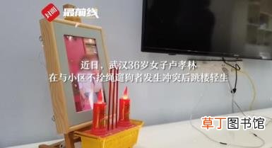 女子拿命控诉”遛狗不牵绳” 究竟是怎么回事呢？