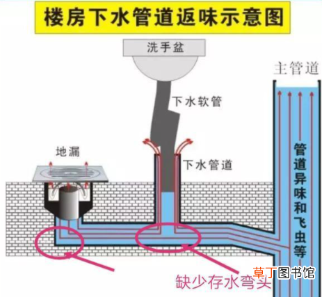 卫生间除臭用什么最好