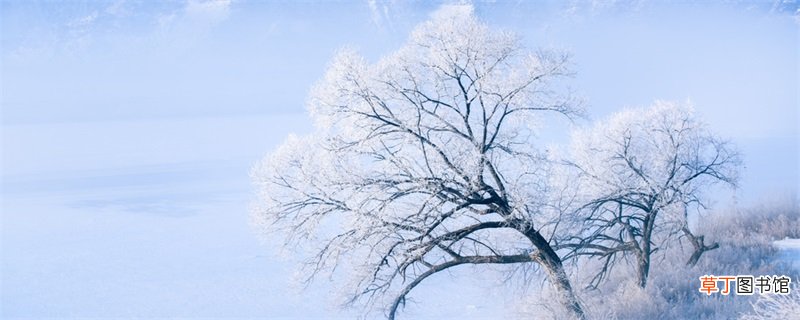 济南的冬天写了哪些景物 济南的冬天描写了什么