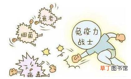 增强免疫力吃什么药-提高免疫力用什么药