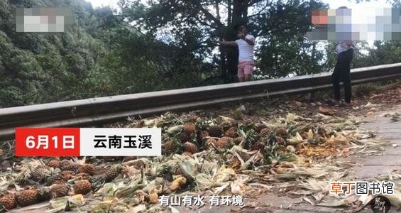象群逼近昆明预计将进晋宁区 网络主播吃播象群吃剩的菠萝