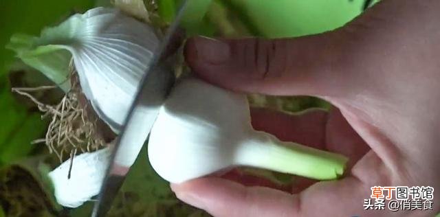 如何腌制糖蒜又脆又甜又好吃 正宗糖醋蒜的腌制方法