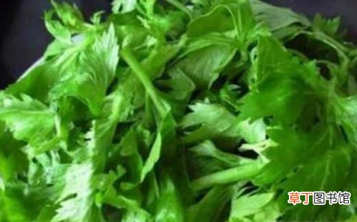 拌芹菜叶的做法