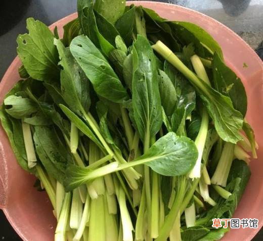 素炒小油菜的家常做法