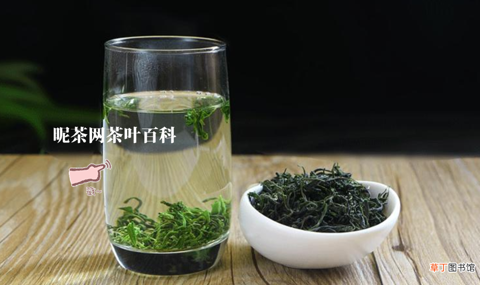 鸭屎香茶适合什么人喝