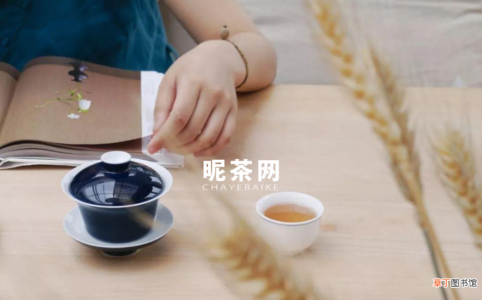 女人喝蒲公英茶的好处和坏处