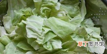 正宗醋溜白菜的做法