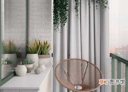 儿童房适合养什么植物