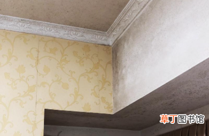 屋里棚顶发霉怎么回事