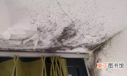 屋里棚顶发霉怎么回事
