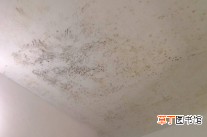 屋里棚顶发霉怎么回事