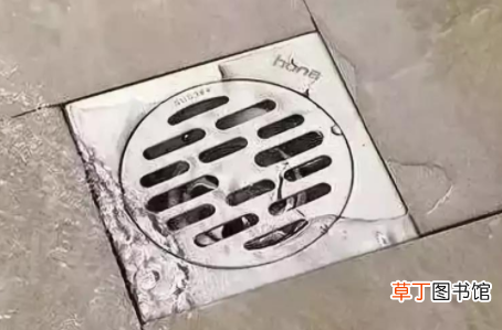 地漏中间的芯都能拆吗