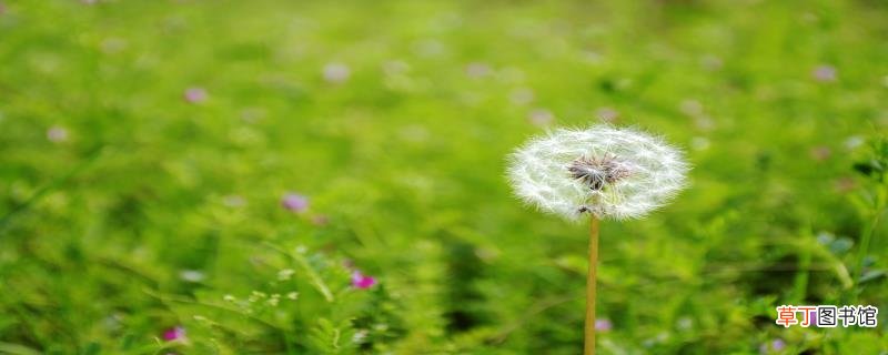 立春节气的诗词 立春节气的古诗