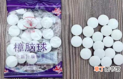 房间内樟脑丸味浓怎么办