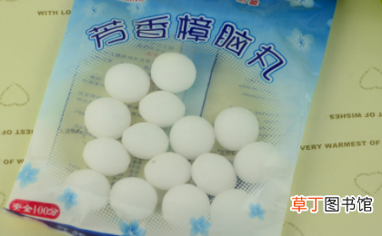 房间内樟脑丸味浓怎么办