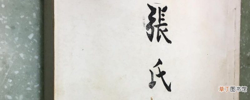 张家家谱有太字辈的？