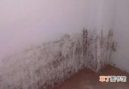 84消毒液怎么除墙发霉