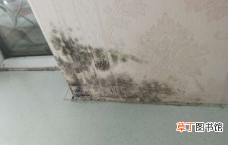 84消毒液怎么除墙发霉