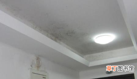 84消毒液怎么除墙发霉